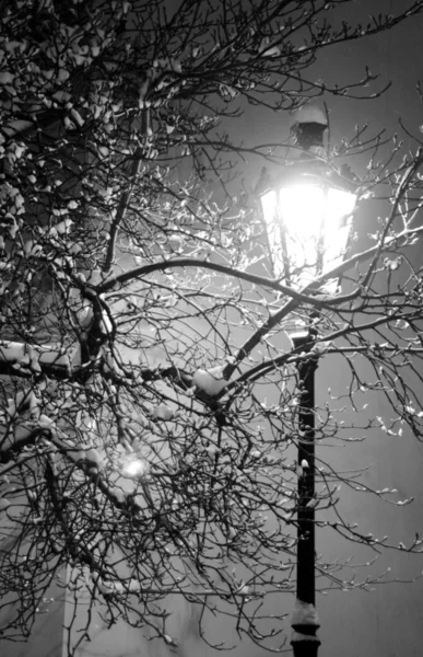 Stock image Lonely street lamp on winter night