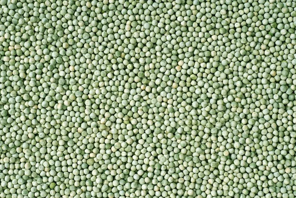 エンドウ豆 - 背景 — ストック写真