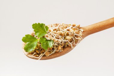Mercimek lahanası