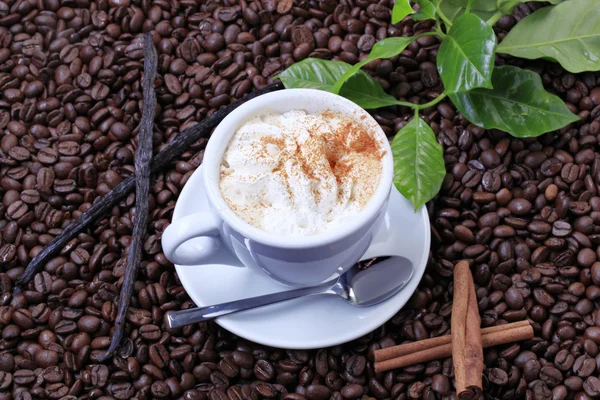 Kopp kaffe med vispgrädde — Stockfoto