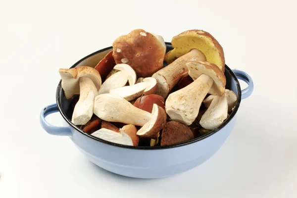 stock image Fresh mushrooms