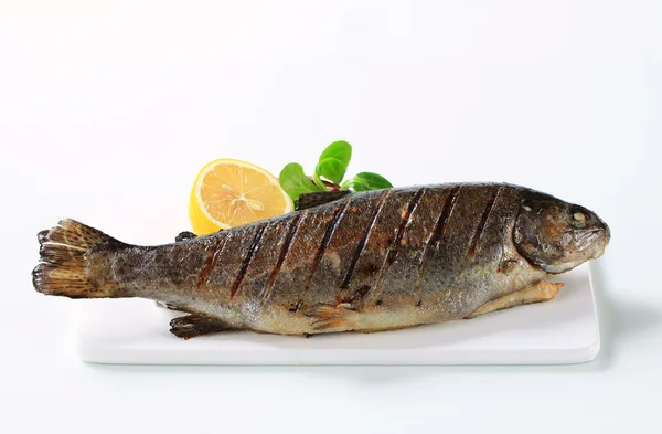 Grilled trout — Stock Photo, Image