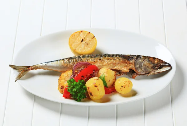 Makrela z grilla i ziemniaków — Zdjęcie stockowe