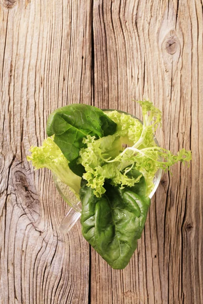 Färska bladgrönsaker — Stockfoto