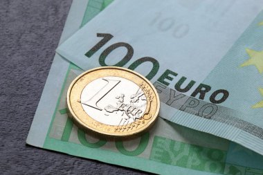 Euro madeni para ve banknot