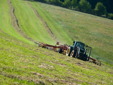 Tractor with a rotary rake in the field clipart