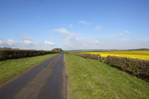 April on the yorkshire wolds — Stock Photo, Image