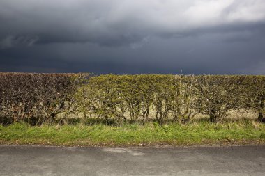 Stormy roadside clipart