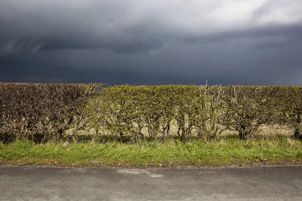 Stormy roadside — Stock Photo, Image