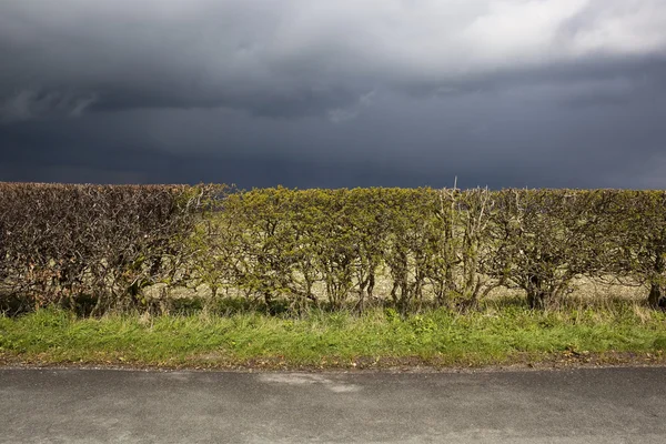 stock image Stormy roadside