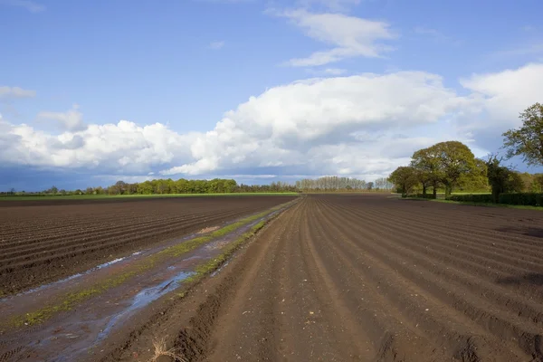 stock image Springtime agriculture