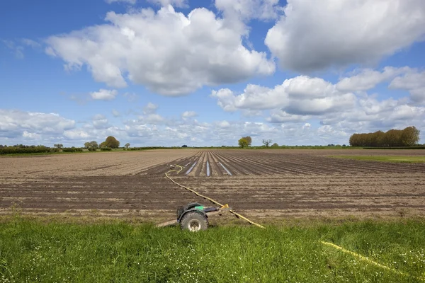 Wet potato field — Stock Photo, Image