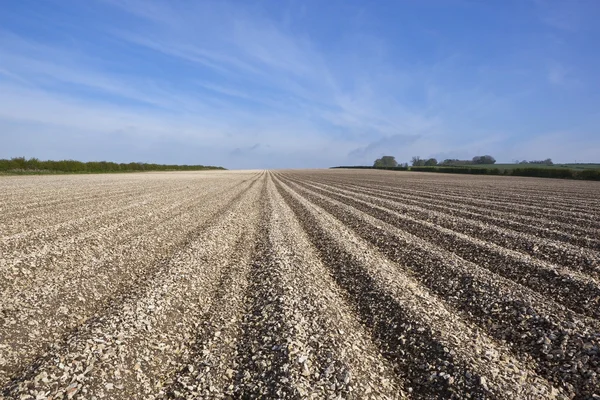 Chalky arable landscape — Stock Photo, Image