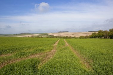 Yorkshire wolds landscape clipart