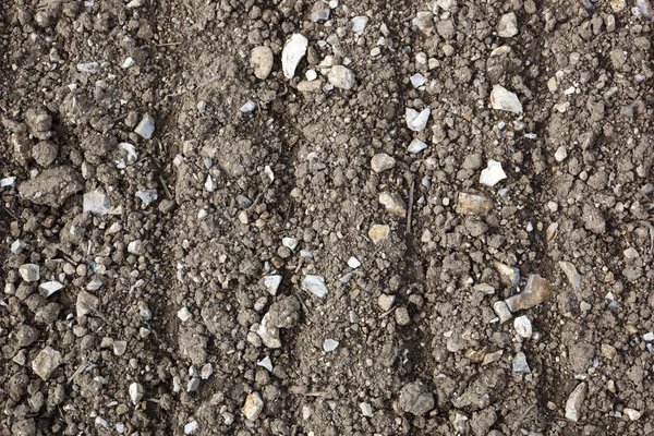 Fondo del suolo pietroso — Foto Stock