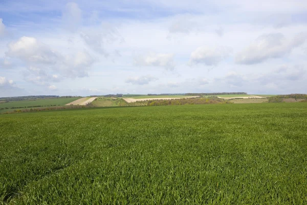 Mezőgazdasági fieldscape — Stock Fotó