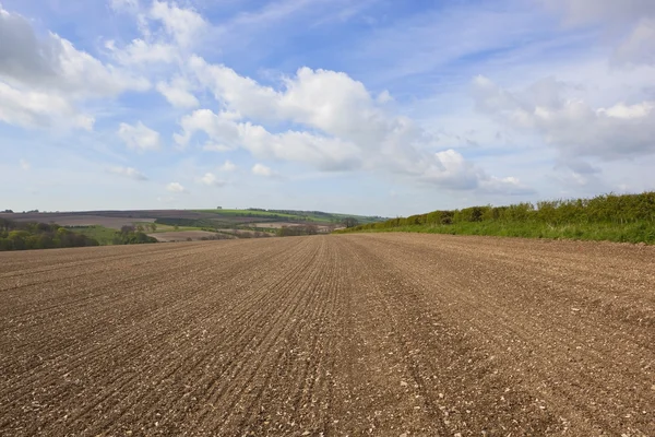 Kalkhaltig rural fieldscape — Stockfoto