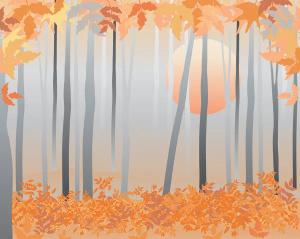 秋天的树林 — 图库矢量图片