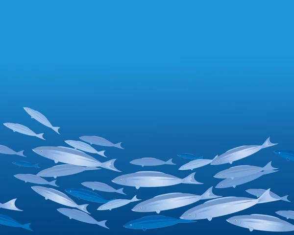 魚の群れ — ストックベクタ