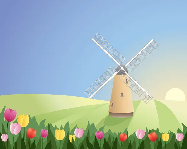 Moinho de vento com tulipas — Vetor de Stock