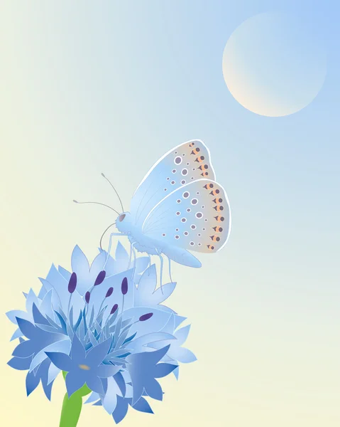 푸른 나비 — 스톡 벡터