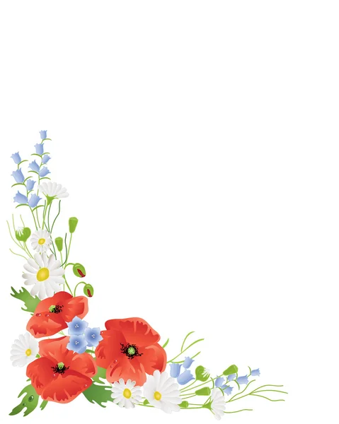 Bordo di fiori selvatici — Vettoriale Stock