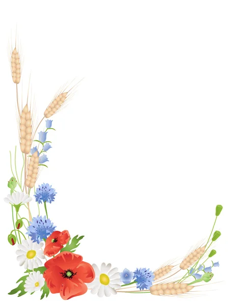 Пшеница и полевые цветы — стоковый вектор