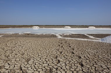 Salt pans clipart