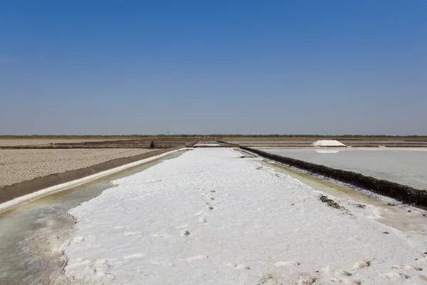 stock image Salt production in gujarat