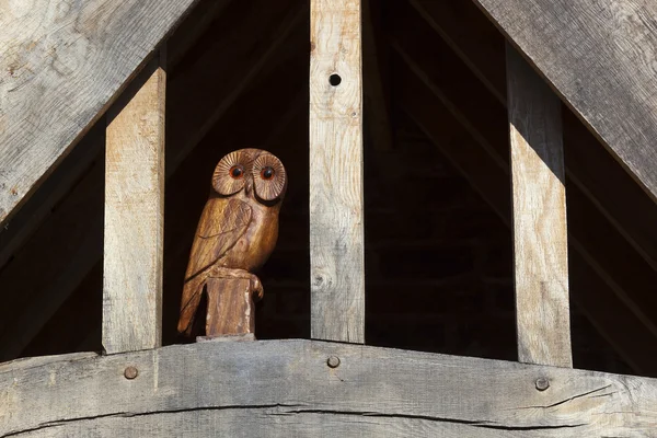 นกฮูกไม้ — ภาพถ่ายสต็อก