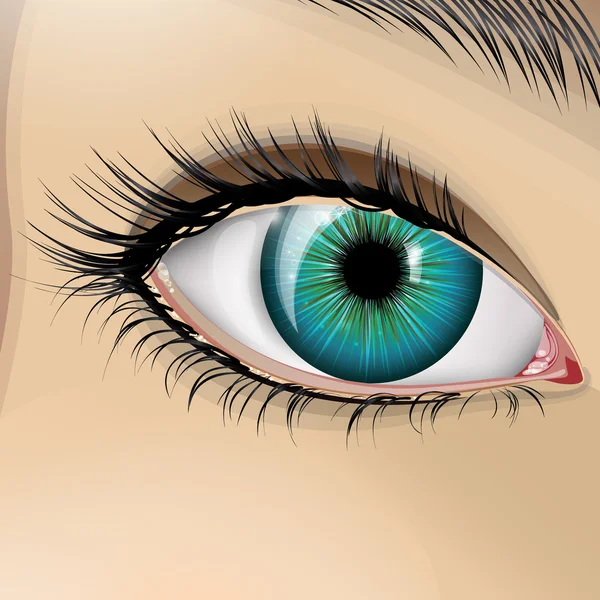 Woman blue eye — Stock Vector