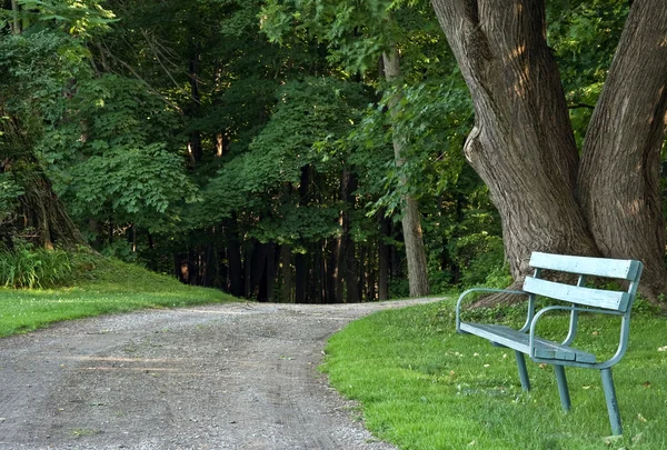 stock image Park Bench by trail