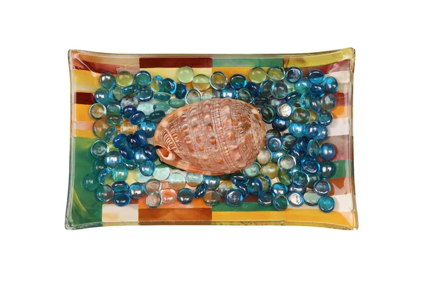 Gran concha marina sobre un fondo de vidrio de color — Foto de Stock