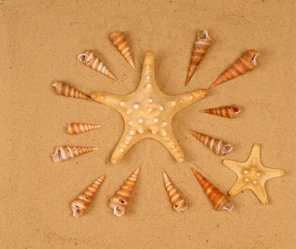 Large starfish on the sand, Studio shot — Stock Photo, Image