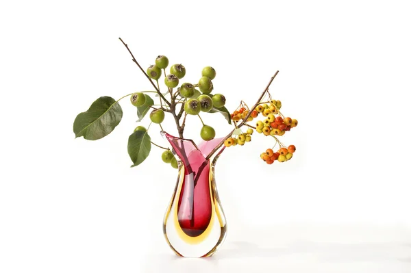 Осінній букет з ягодами глоду і груші — стокове фото
