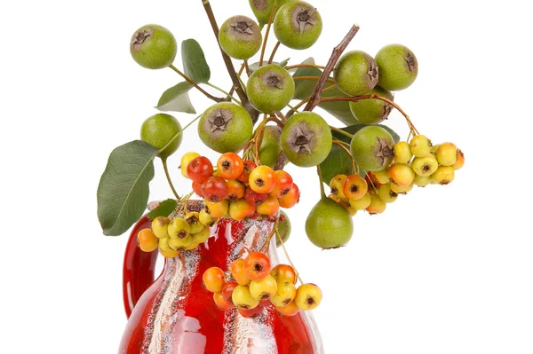 サンザシと梨の果実と秋の花束 — ストック写真