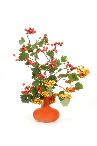 Podzimní kytice s plody hlohu a hruška — Stock fotografie