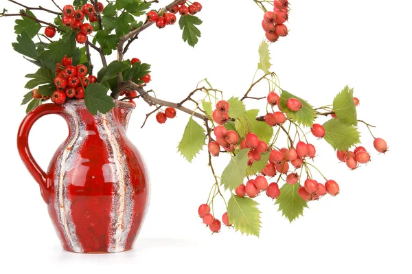 stock image Autumn bouquet with berries of hawthorn and pear