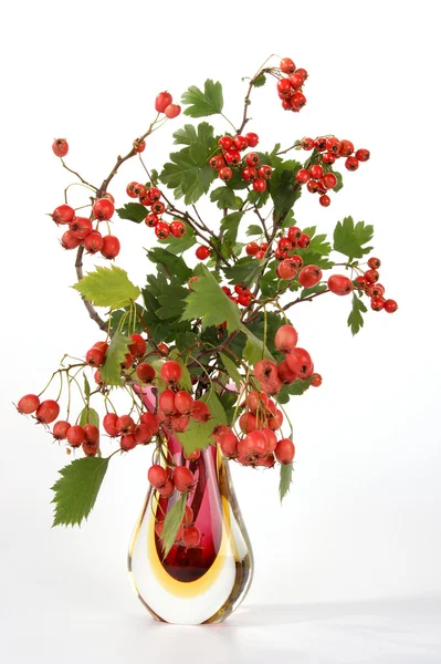 stock image Autumn bouquet with berries of hawthorn and pear