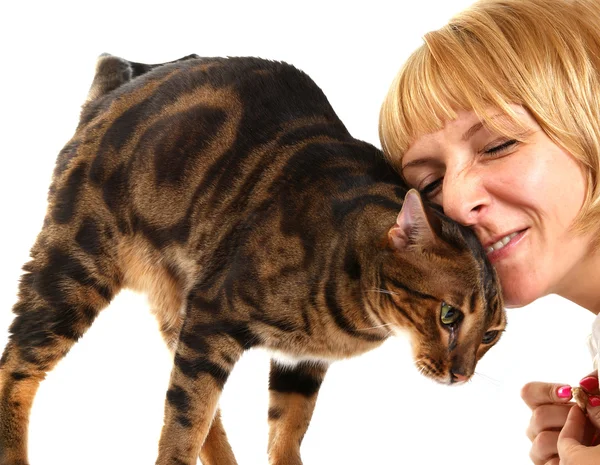 stock image The leopard cat (Prionailurus bengalensis) and girl