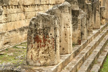 Antik Yunan Apollon'un Tapınağı. Syracuse, Sicilya, İtalya