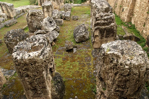 Gamle greske APOLLO 's TEMPLE. Siracusa, Sicilia, Italia – stockfoto