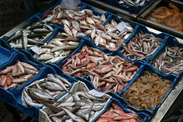 Fresh fish laid out at a market — Stock Photo, Image