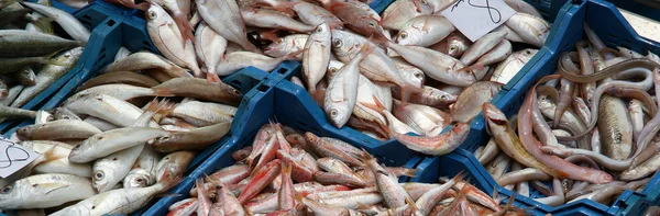 Fresh fish laid out at a market — Stock Photo, Image