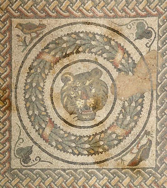 Mozaik parçası Roma villa romana del casale, Sicilya — Stok fotoğraf
