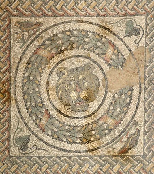 Stock image Mosaic fragment Roman Villa Romana del Casale, Sicily