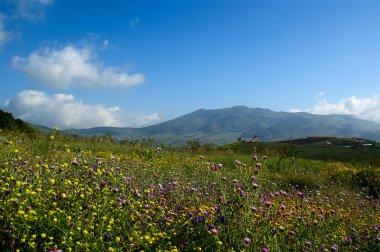 dağ Vadisi - peyzaj, Adası Sicilya, İtalya