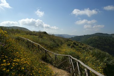 dağ Vadisi - peyzaj, Adası Sicilya, İtalya