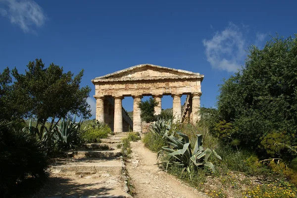 Temple grec classique (dorique) à Segesta en Sicile — Photo