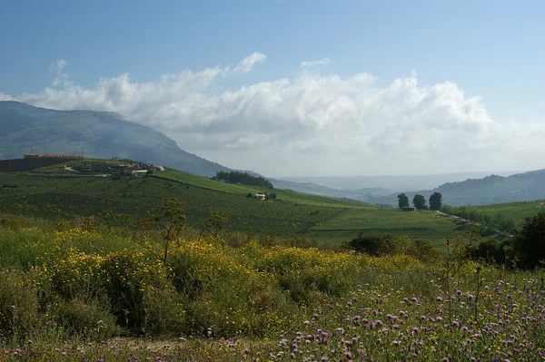 Mountain valley - landscape, island Sicily, Italy — Stock Photo, Image